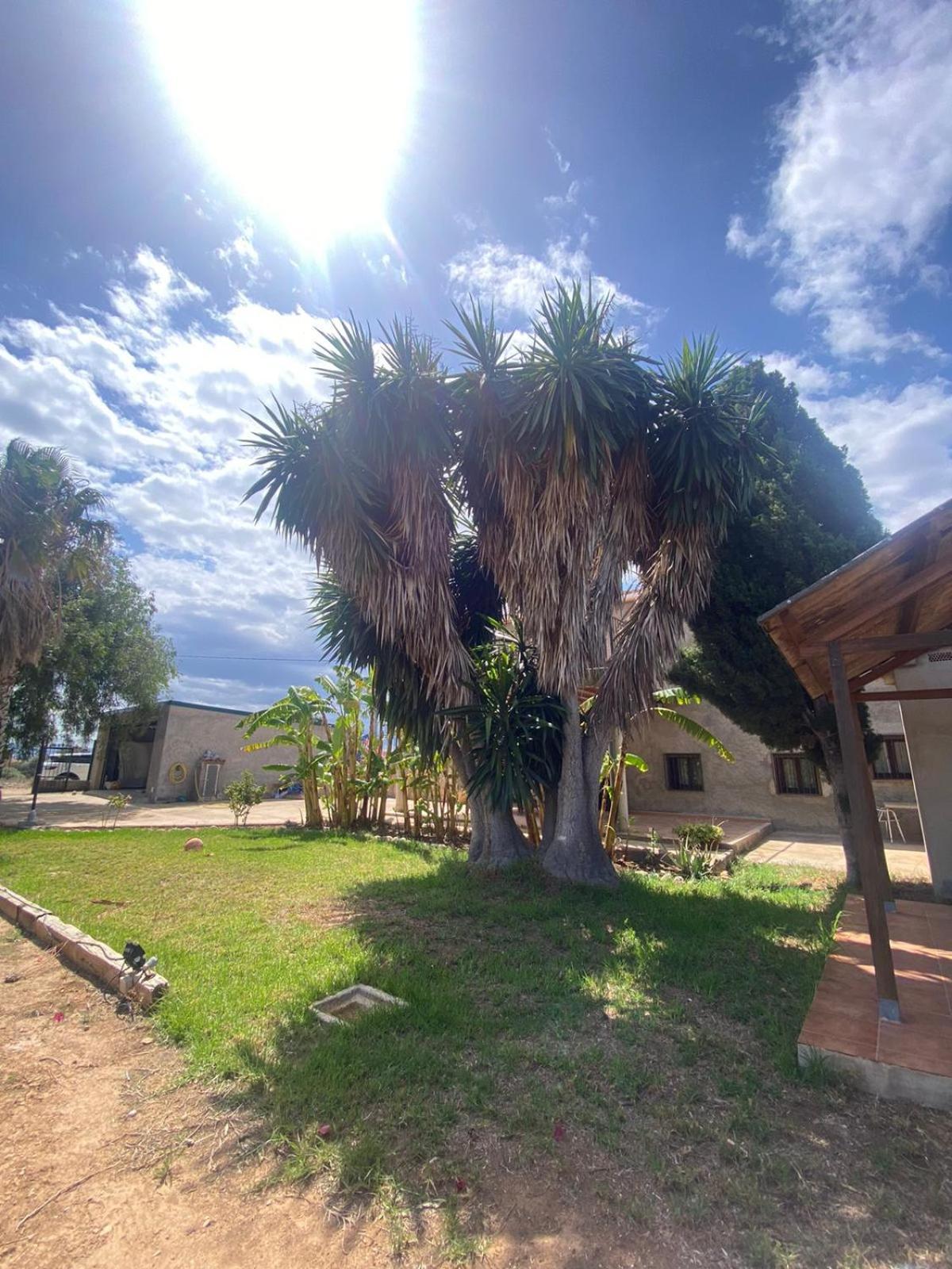 Los Almendros Torrenostra Esterno foto