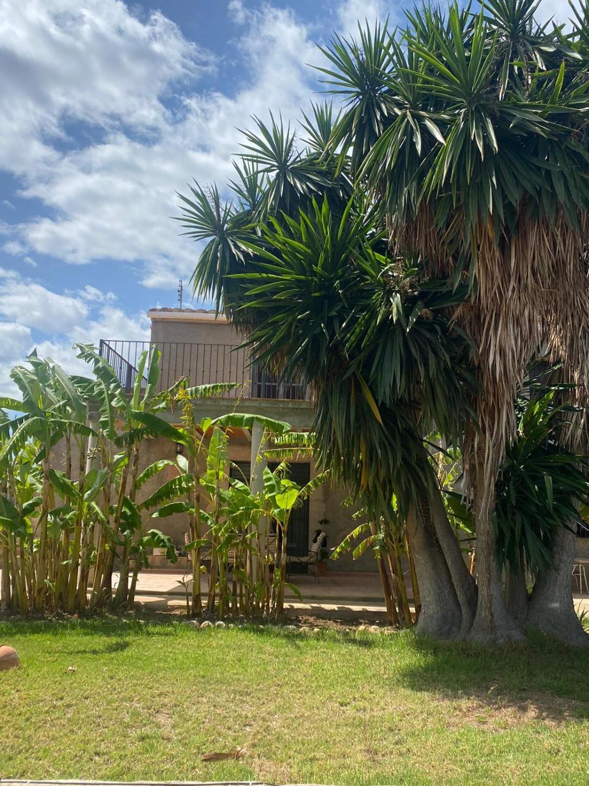 Los Almendros Torrenostra Esterno foto